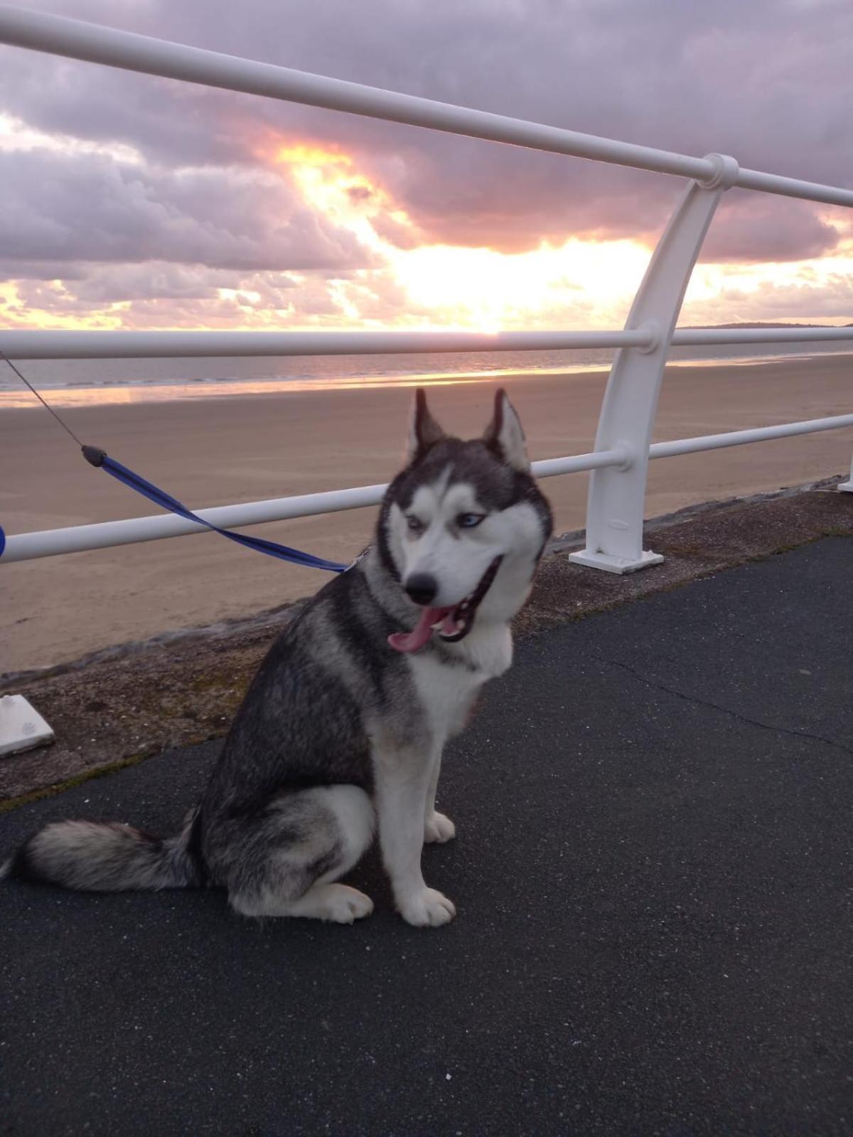 Driftmark Beachfront Location Aberavon Beach Sea Views Large Driveway Parking Private Site Fibre Optic Wi Fi Порт-Толбот Екстер'єр фото